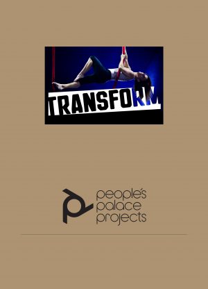 Relatório PPP + Transform 2012-2016