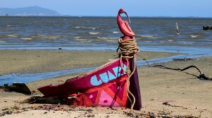 Art for Climate